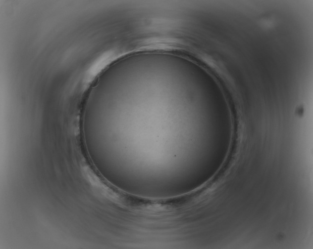 X0000116811459200912181333