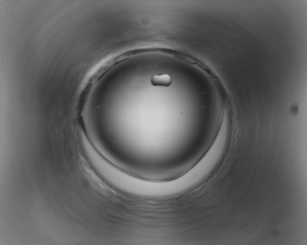 X0000116811460200912181333