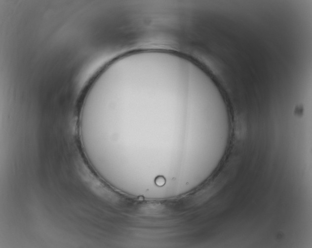 X0000116811462200912181333