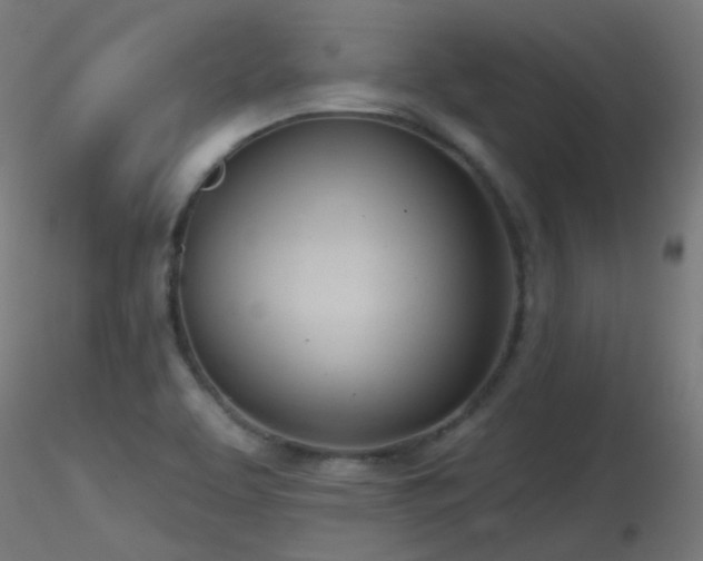 X0000116811463200912181333