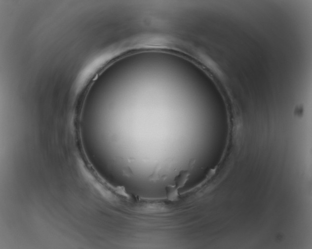 X0000116811464200912181333