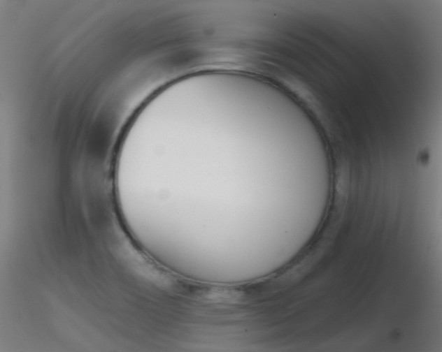 X0000116811466200912181333
