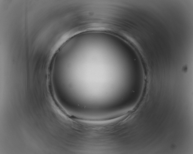 X0000116811467200912181333