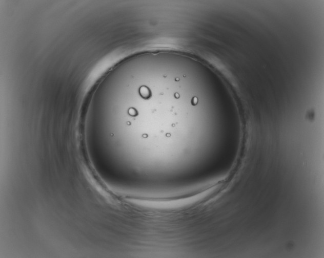X0000116811469200912181333