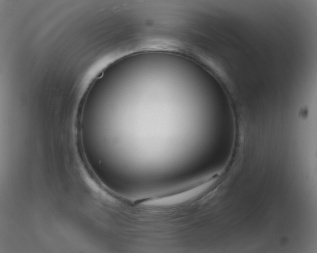 X0000116811471200912181333