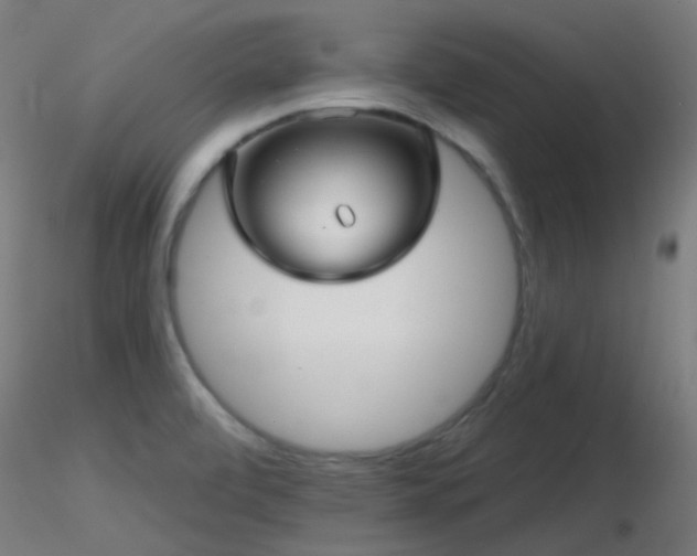 X0000116811472200912181333
