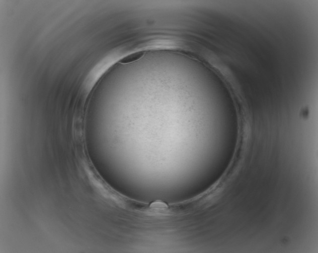 X0000116811473200912181333