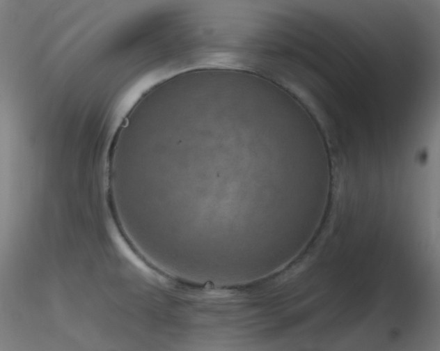 X0000116811479200912181333