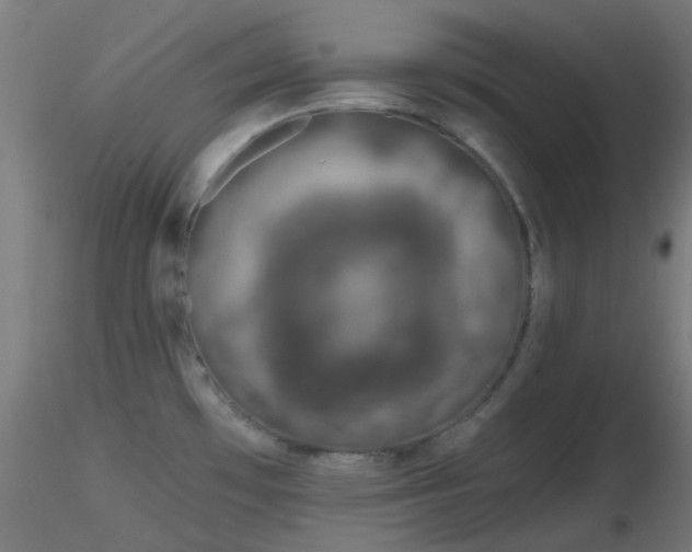 X0000116811481200912181333
