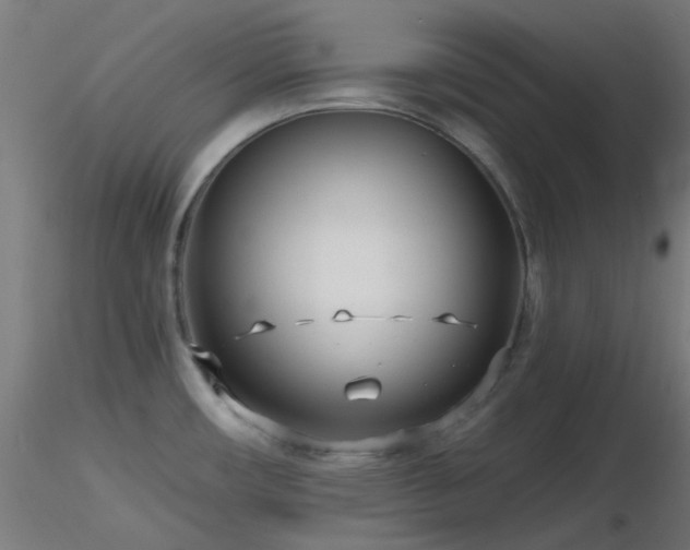X0000116811482200912181332
