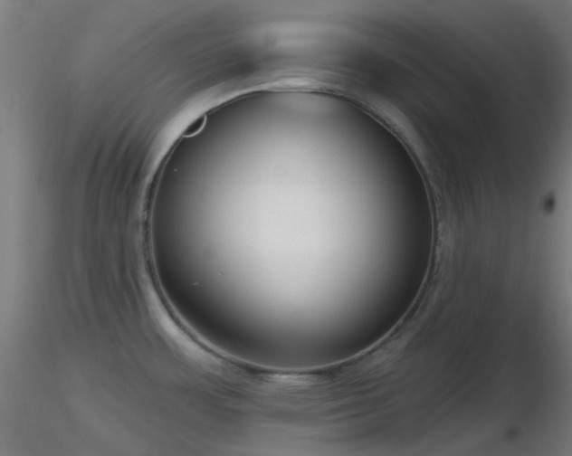 X0000116811483200912181332