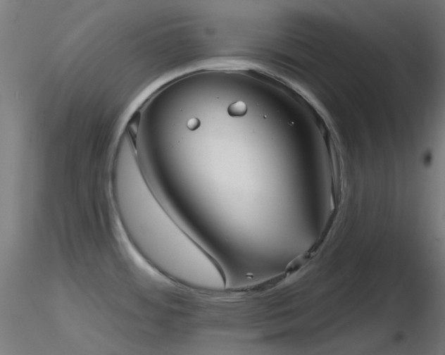 X0000116811484200912181332