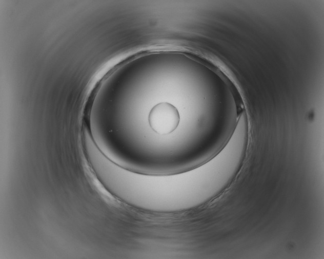X0000116811485200912181332