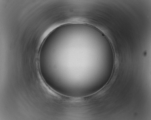 X0000116811486200912181332