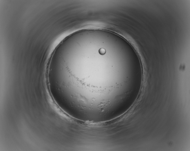X0000116811488200912181332