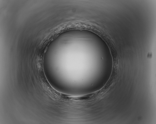 X0000116811490200912181332