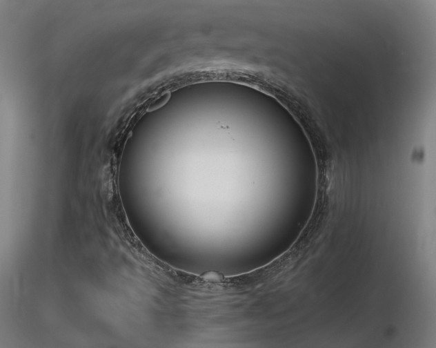 X0000116811493200912181332