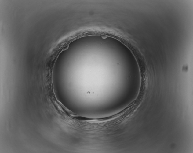 X0000116811494200912181332