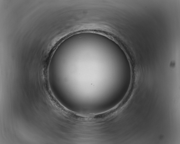 X0000116811497200912181332