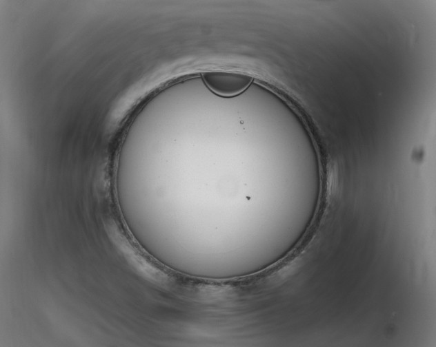 X0000116811498200912181332
