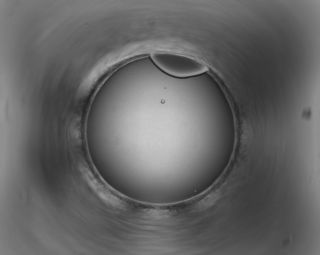 X0000116811499200912181332