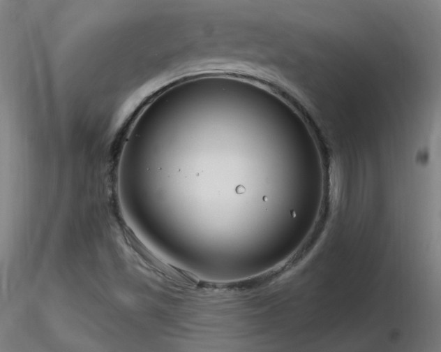 X0000116811501200912181332