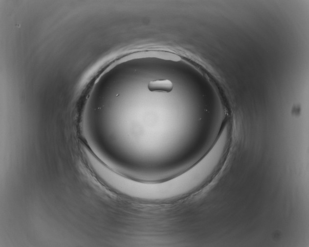 X0000116811502200912181332