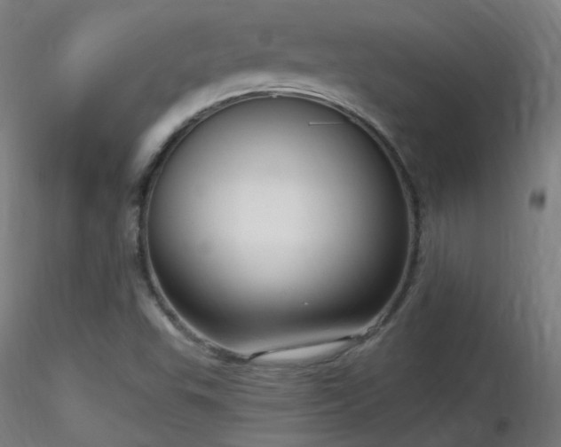 X0000116811503200912181332
