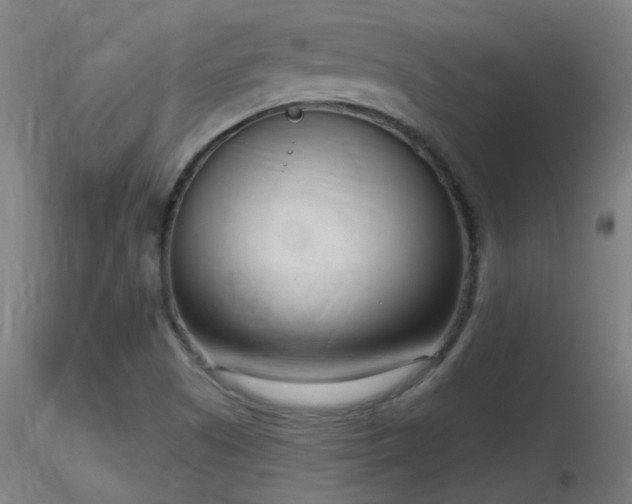 X0000116811505200912181332