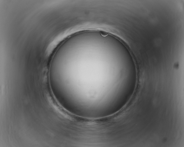 X0000116811507200912181332