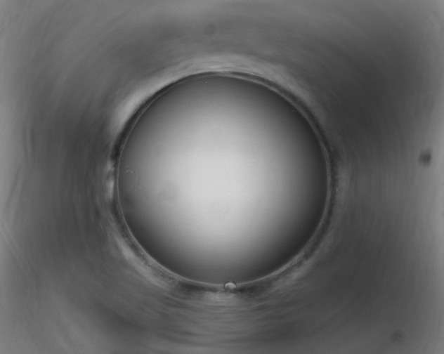 X0000116811509200912181332