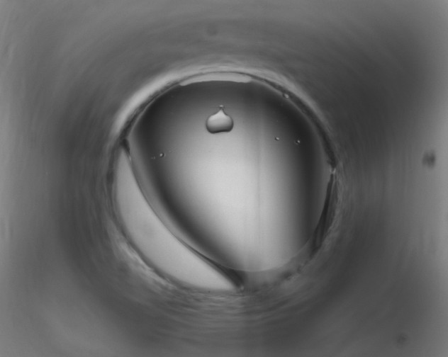 X0000116811510200912181332