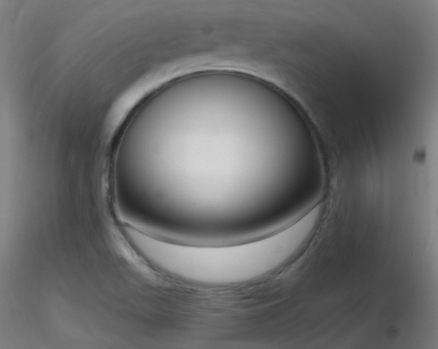 X0000116811511200912181332