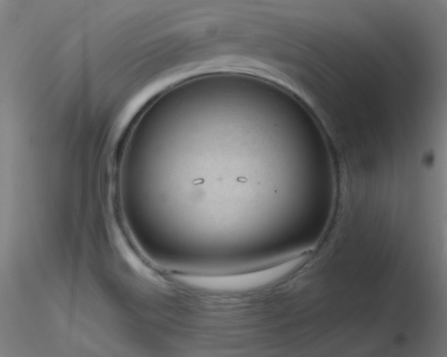 X0000116811515200912181332