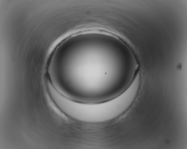 X0000116811518200912181332