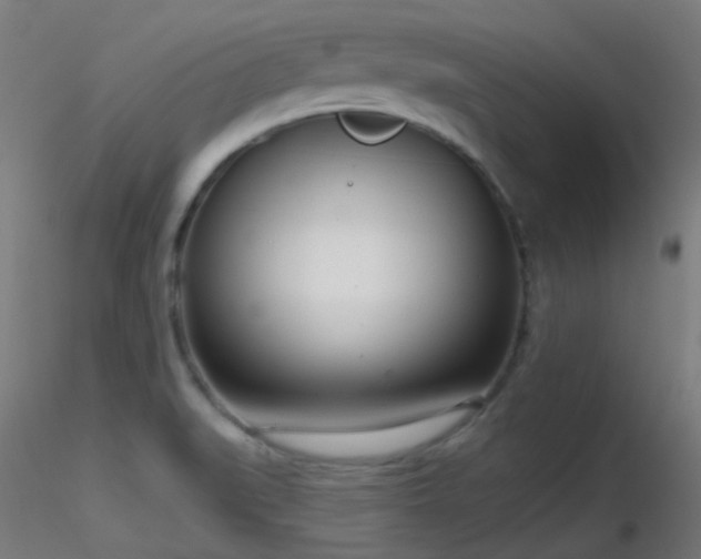 X0000116811519200912181332
