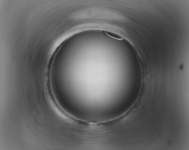 X0000116811523200912181332