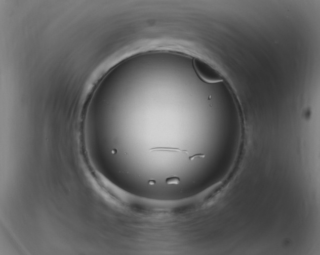 X0000116811525200912181332