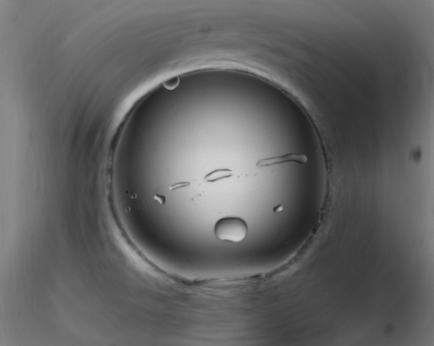 X0000116811526200912181332