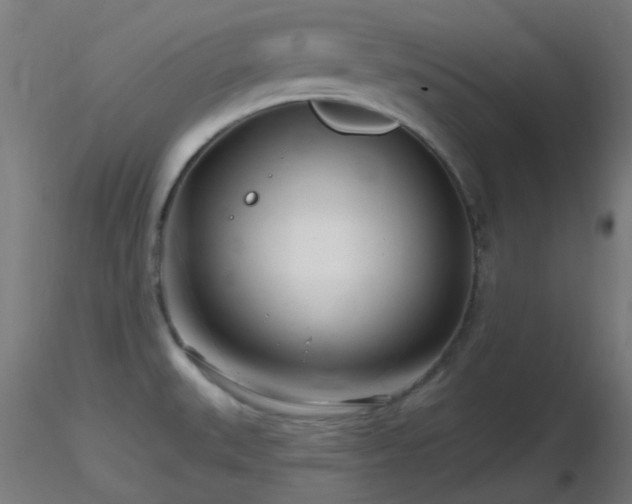 X0000116811527200912181332