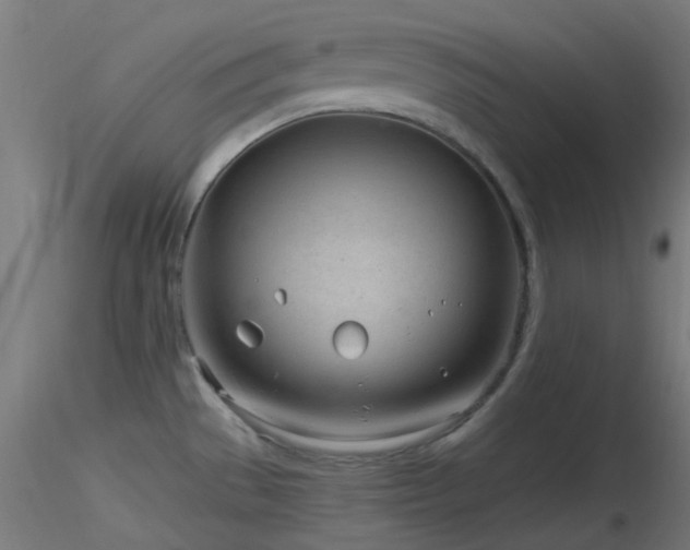 X0000116811529200912181332