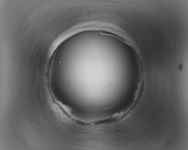 X0000116811530200912181332