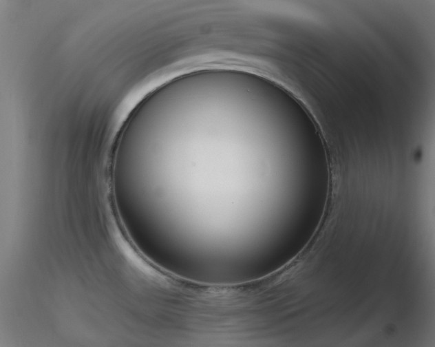 X0000116811531200912181332