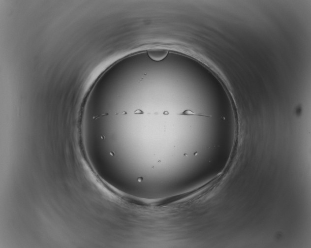 X0000116811533200912181332