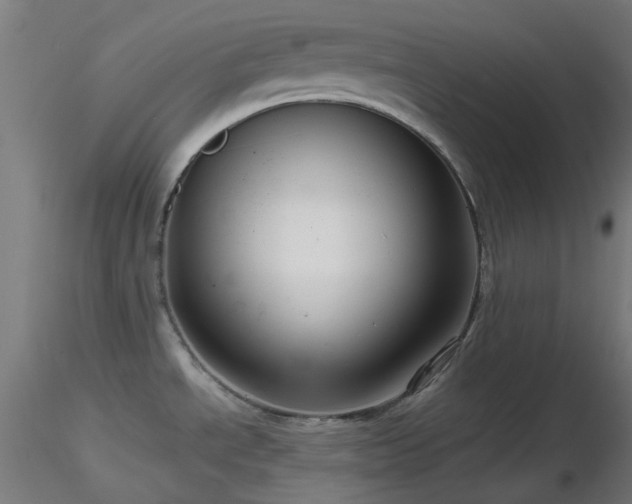 X0000116811534200912181332