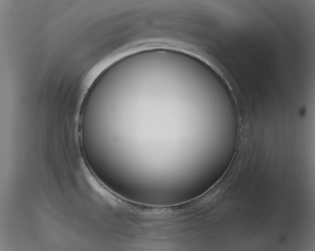 X0000116811535200912181332
