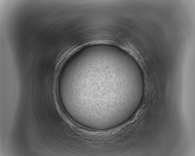 X0000116810001200912241230