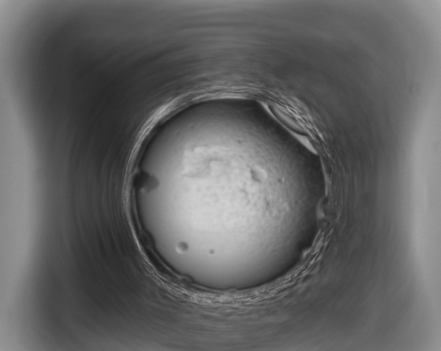 X0000116810003200912241230