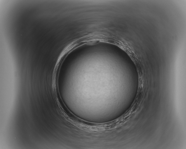 X0000116810004200912241230