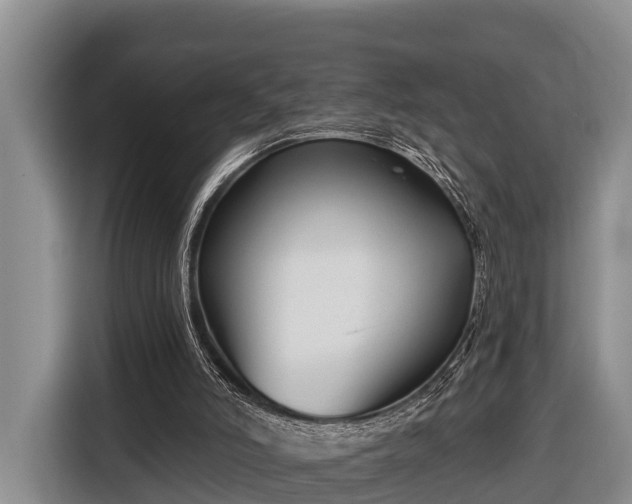 X0000116810006200912241230